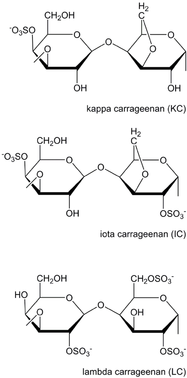 CARRAGEENAN (KARAGENAN)