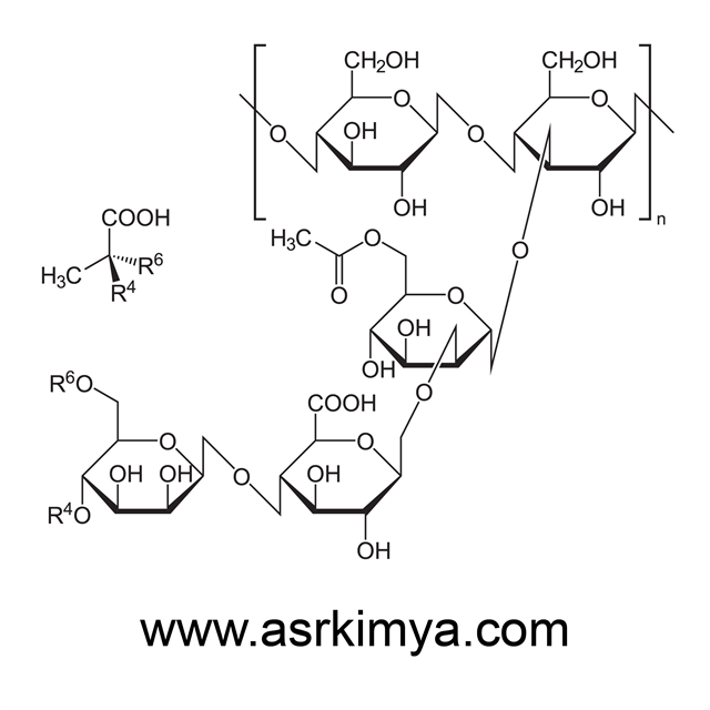 XANTHAN GUM